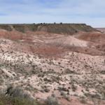 2023OTRA_654 (May 07, 2023)